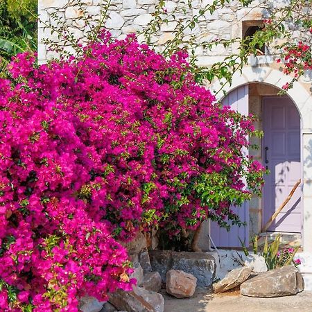 Iliana'S House - Spacious Cave House In The Center Of Areopolis Exterior foto